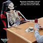 Манекен SurvMed Скелет Костя (анатомический костяк) взрослый 180см