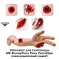 Тренажер для остановки кровотечения и тампонады SM ФальшРана Рука Плеч03дк (симуляционный набор)