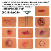 Набор демонстрационных ранений SM ФальшРана мод.Sili “Распознавание травм и повреждений” (10 видов)