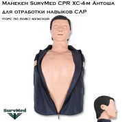 Манекен SurvMed CPR XC-4-м Антоша для отработки навыков СЛР (торс по пояс) мужской