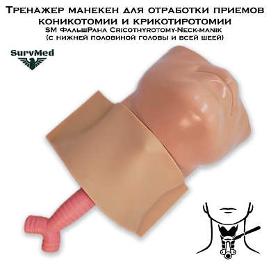 Тренажер манекен для отработки приемов коникотомии и крикотиротомии SM ФальшРана Cricothyrotomy-Neck-manik (с нижней половиной головы и всей шеей)