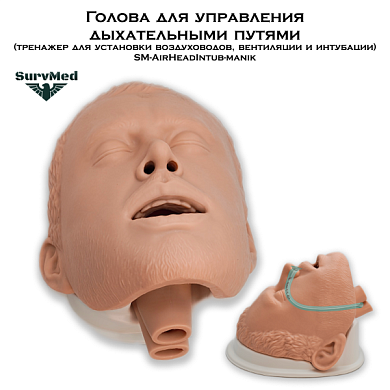 Голова для для управления дыхательными путями (тренажер для установки воздуховодов, вентиляции и интубации) SM-AirHeadIntub-manik